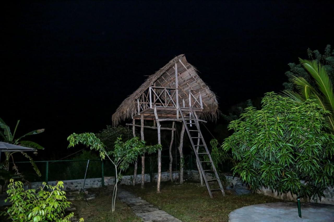 D Family Resort Anuradhapura Exterior foto